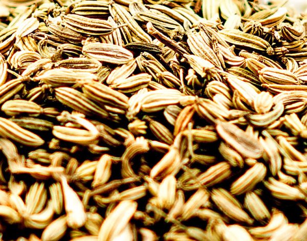 Fennel Seed Hot on Sale