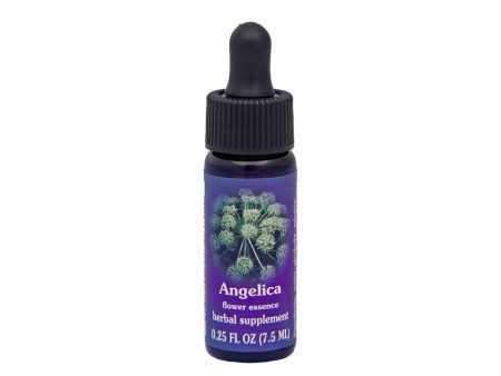 Angelica Flower Essence Online now