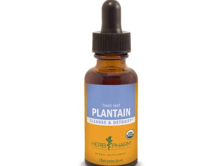 Plantain 1 fl.oz. Online Sale