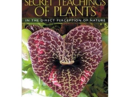 Herbal Guides- Secret Teachings Of Plants by Stephen Buhner Online now