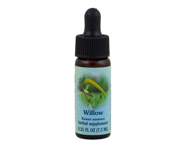 Willow Flower Essence For Cheap