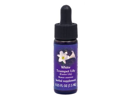 White Trumpet Lily (Easter Lily)  Flower Essence Hot on Sale