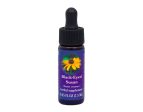 Black-Eyed Susan Flower Essence Online now