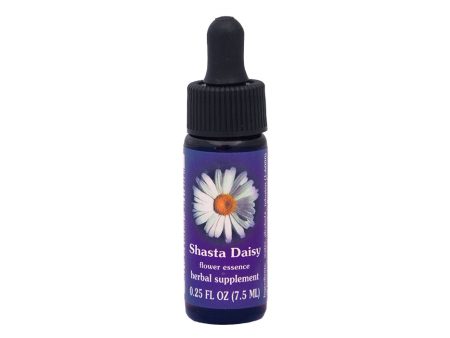 Shasta Daisy Flower Essence Online Hot Sale