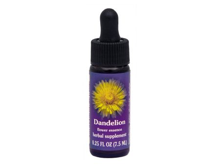 Dandelion Flower Essence Supply