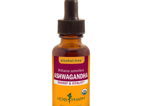 Ashwagandha Alcohol-Free 1 fl.oz. For Sale