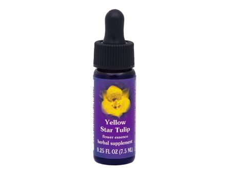 Yellow Star Tulip Flower Essence For Sale