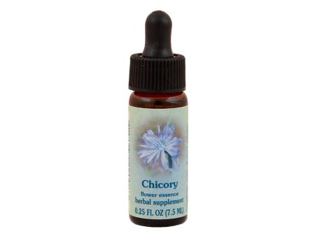 Chicory Flower Essence Online Hot Sale