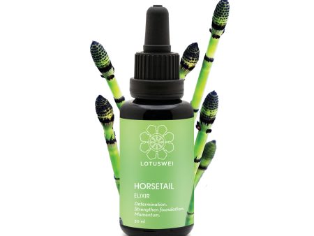 Horsetail Elixir on Sale