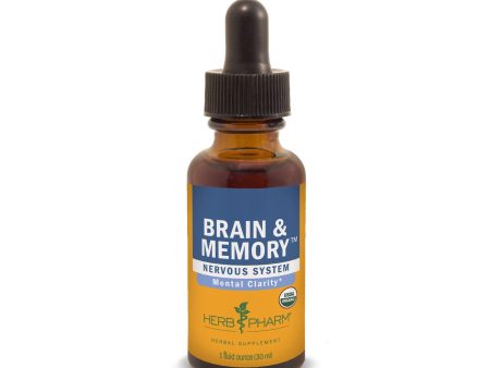 Brain & Memory 1 fl.oz. For Cheap