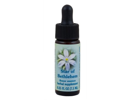 Star of Bethlehem Flower Essence For Sale