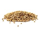 Coriander Seed, Whole For Sale