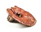 Reishi Mushroom, Whole - Approx. 7 oz. For Sale