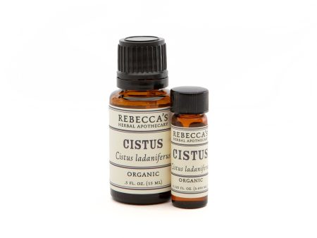 Cistus Cheap