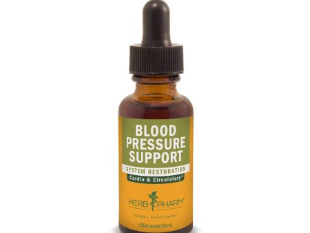 Blood Pressure Support 1 fl.oz. Online now