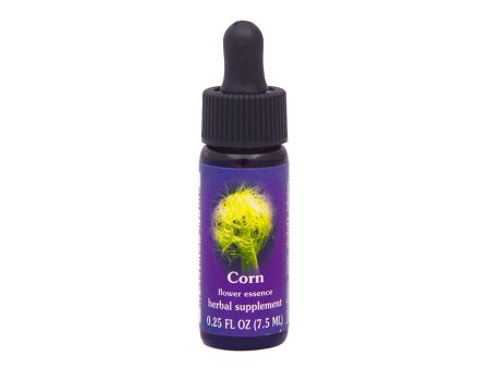 Corn Flower Essence Cheap