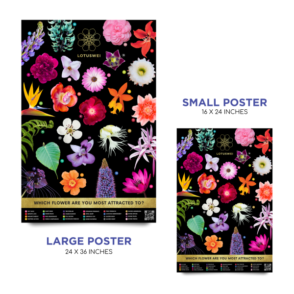 Interactive Pick-A-Flower Posters Online now