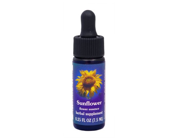 Sunflower Flower Essence on Sale