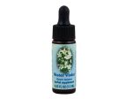 Water Violet Flower Essence Supply