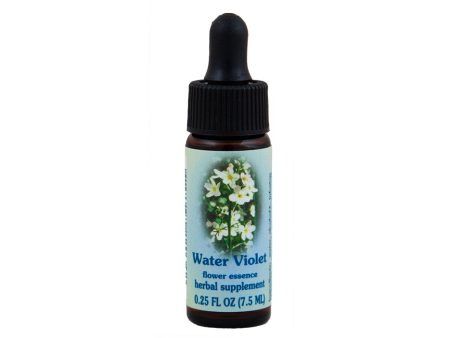 Water Violet Flower Essence Supply