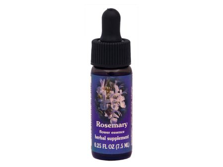 Rosemary Flower Essence Supply