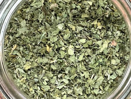 Nettle Leaf Organic Hot on Sale