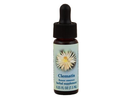 Clematis Flower Essence Discount