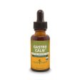 Gastro Calm 1 fl.oz. Hot on Sale