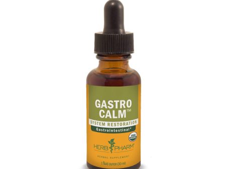 Gastro Calm 1 fl.oz. Hot on Sale