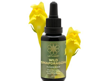 Wild Snapdragon Flower Elixir For Cheap