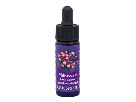 Milkweed Flower Essence Online