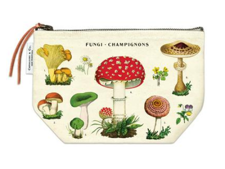 Pouch Mushroom Online now