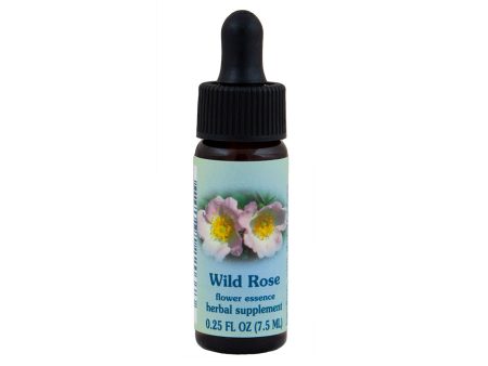 Wild Rose Flower Essence Cheap