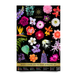 Interactive Pick-A-Flower Posters Online now