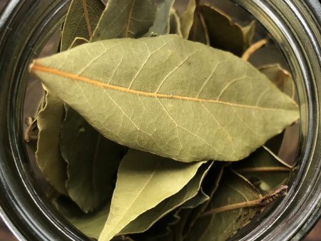 Bay Leaf Organic 10 leaves For Cheap