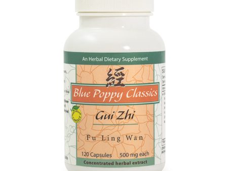 Gui Zhi Fu Ling Wan For Cheap