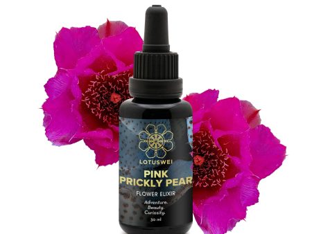 Pink Prickly Pear Flower Elixir Sale