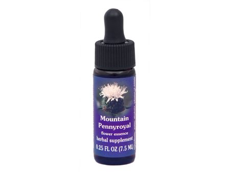 Mountain Pennyroyal Flower Essence Cheap