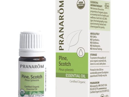 Pine, Scotch 5ml Online