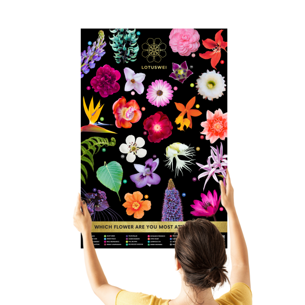 Interactive Pick-A-Flower Posters Online now