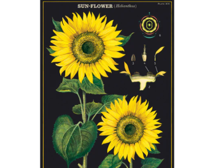 Card Sunflower Online