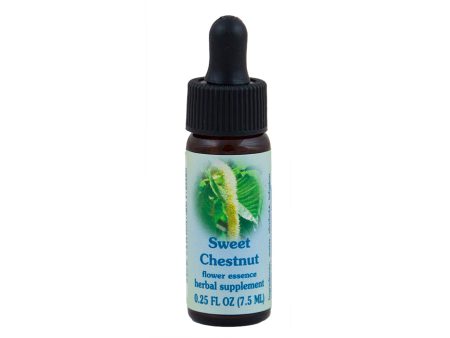 Sweet Chestnut Flower Essence Sale