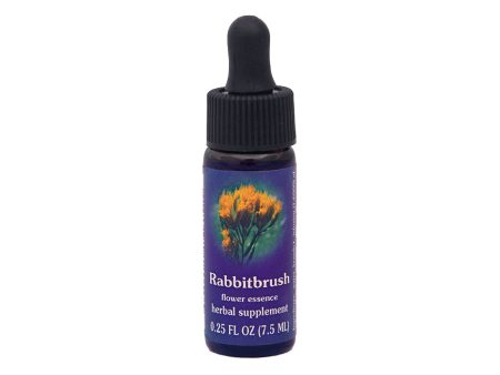 Rabbitbrush Flower Essence For Cheap