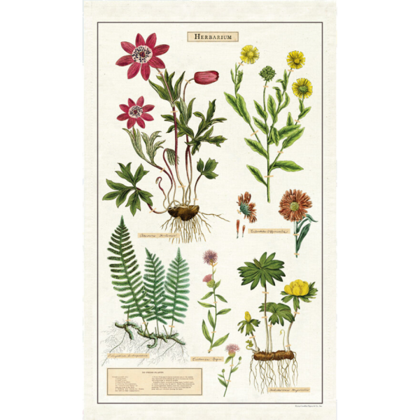 Tea Towel Herbarium Online Hot Sale