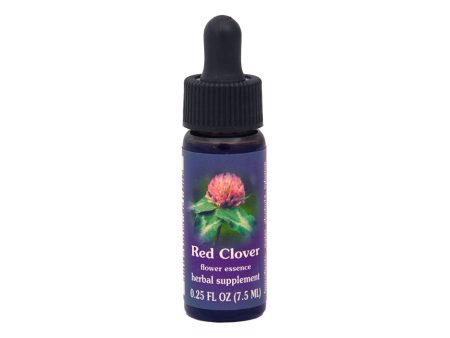 Red Clover Flower Essence Cheap