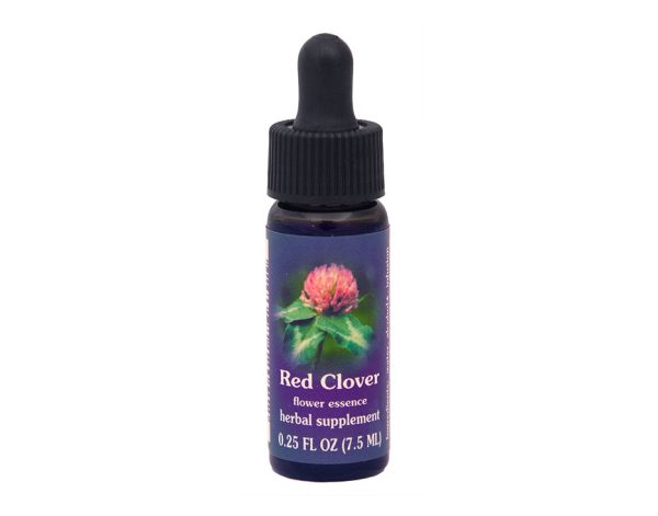 Red Clover Flower Essence Cheap