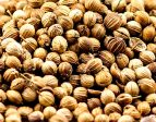 Coriander Seed, Whole For Sale