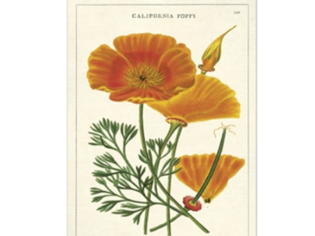 Card California Poppy For Cheap