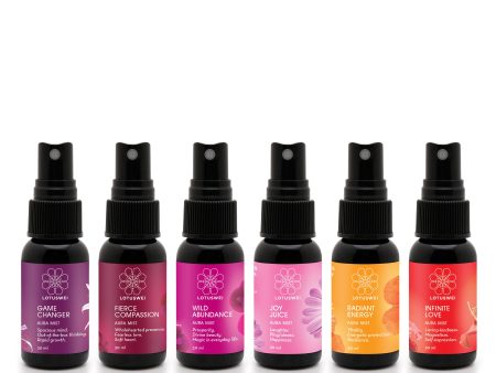 EMBODY: 6 ON-THE-GO MISTS For Discount