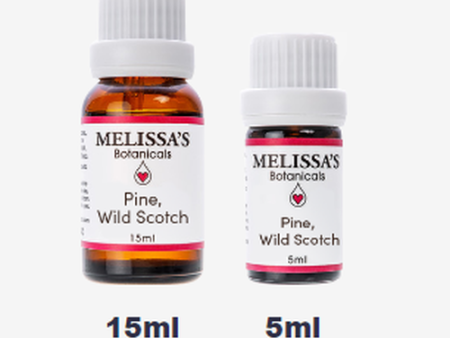 Pine, Wild Scotch MB For Discount